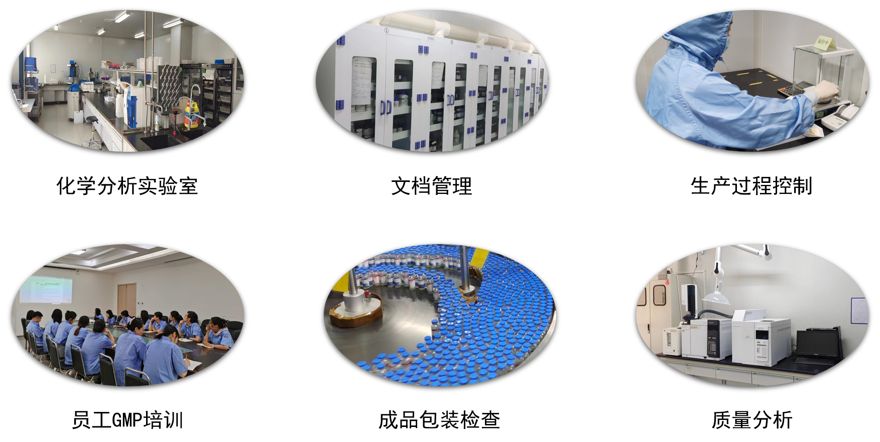 利来w66(中国区)_来利国际旗舰